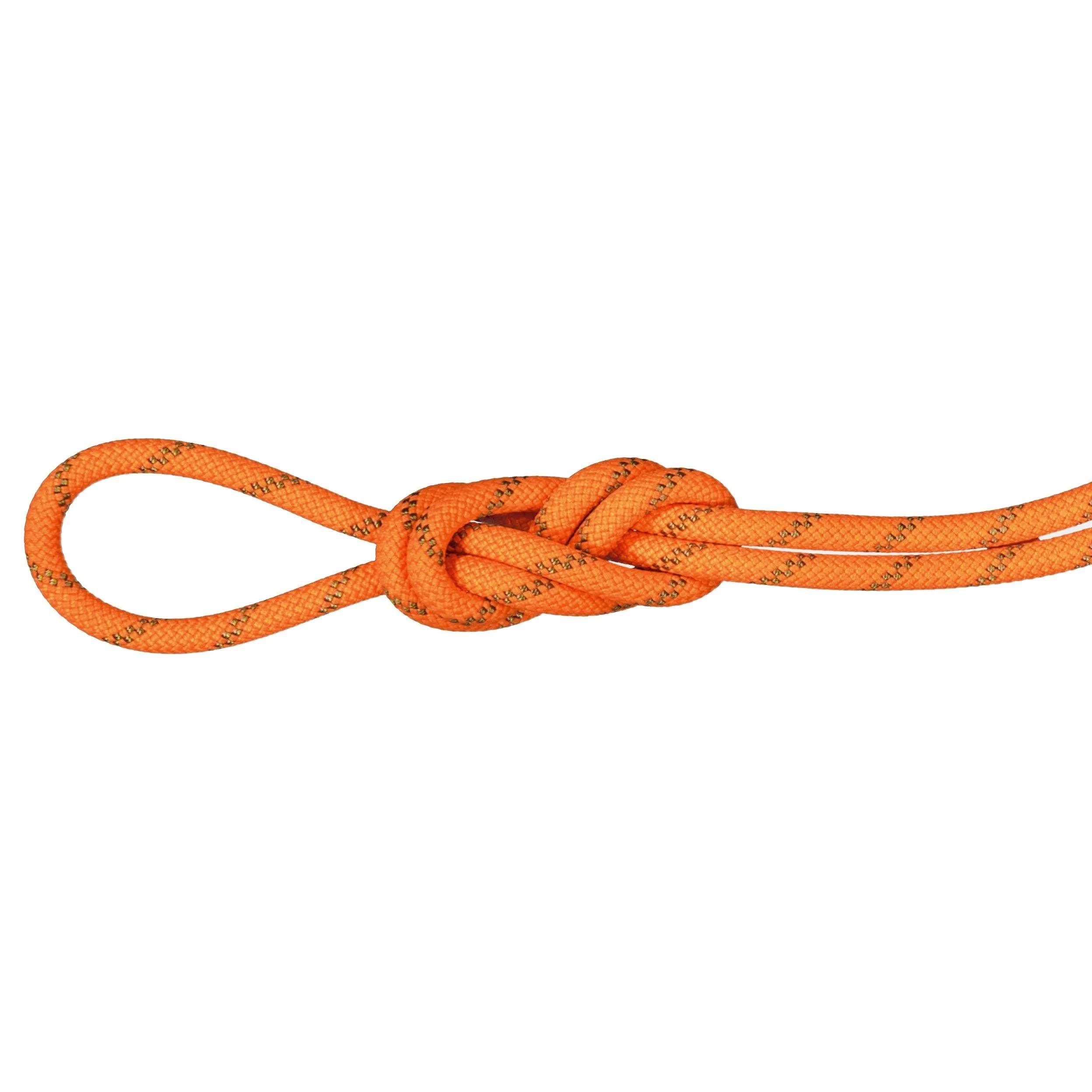 Mammut 8.0 Alpine Dry 60m Climbing and Mountaineering Rope | George Fisher