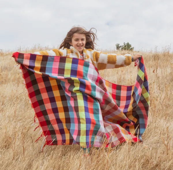 Picnic Blanket - Multi