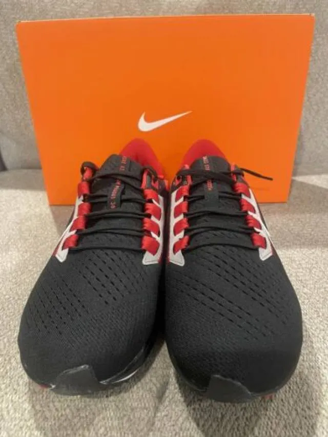 Size 10.5 - nike air zoom pegasus 38 ohio state 2021