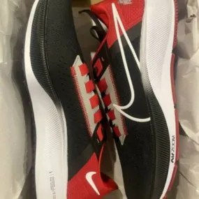 Size 10.5 - nike air zoom pegasus 38 ohio state 2021