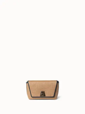 Small Anouk Day Bag in Raffia